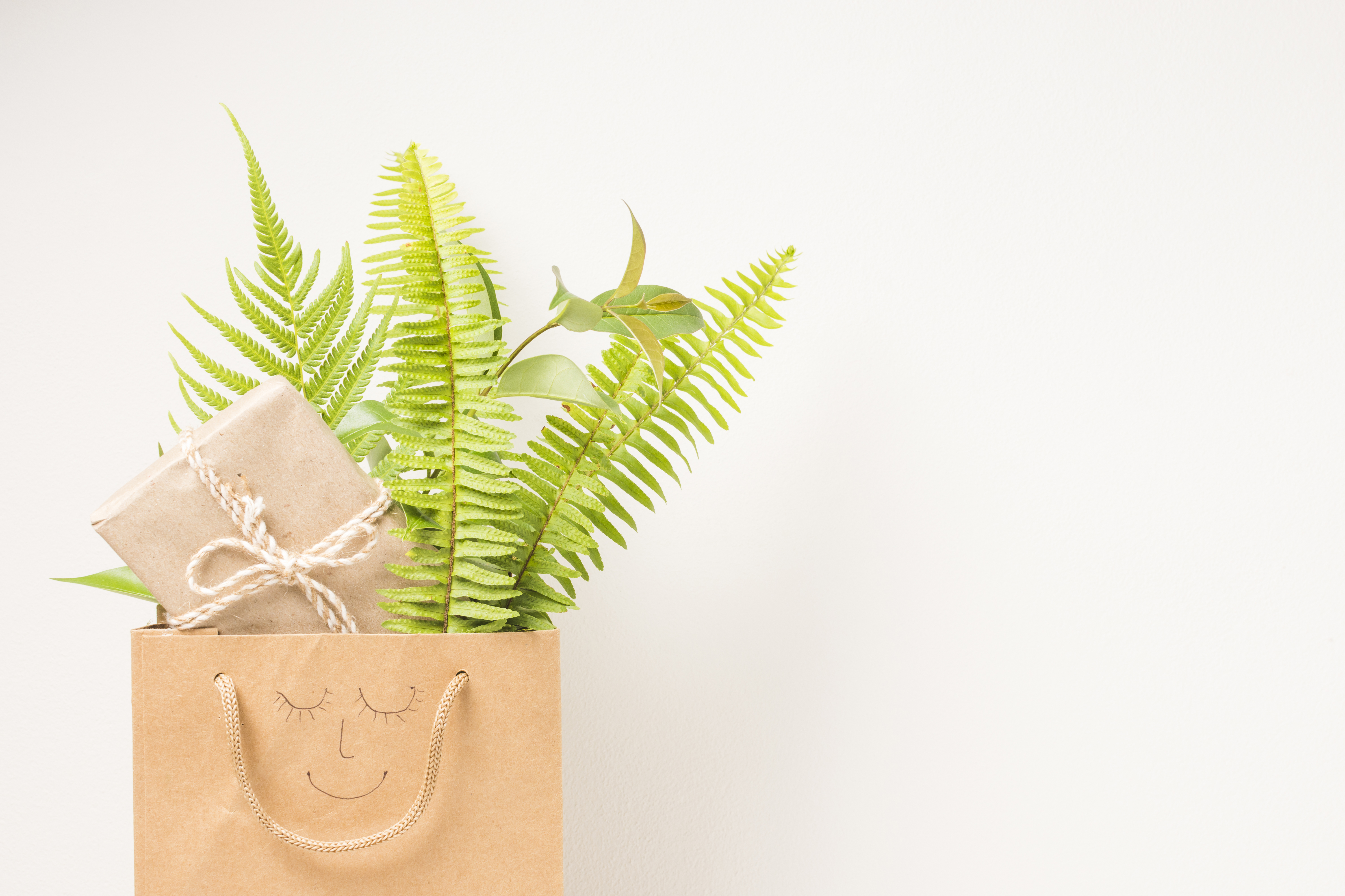 Free photo brown paper bag with fern leaves and gift box against white backdrop